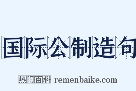 国际公制造句是什么意思的图片